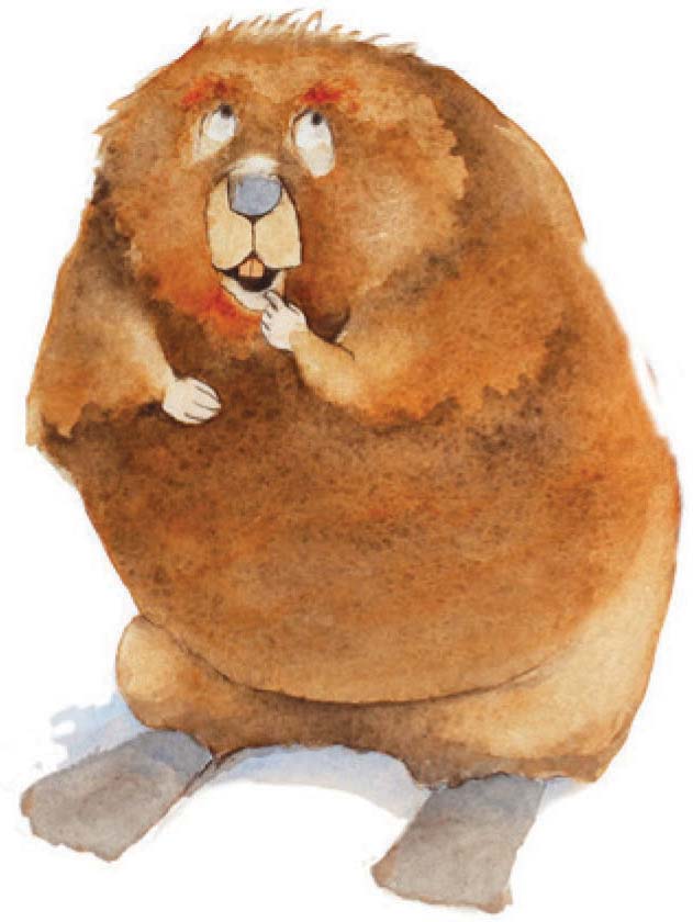 Beaverart600px