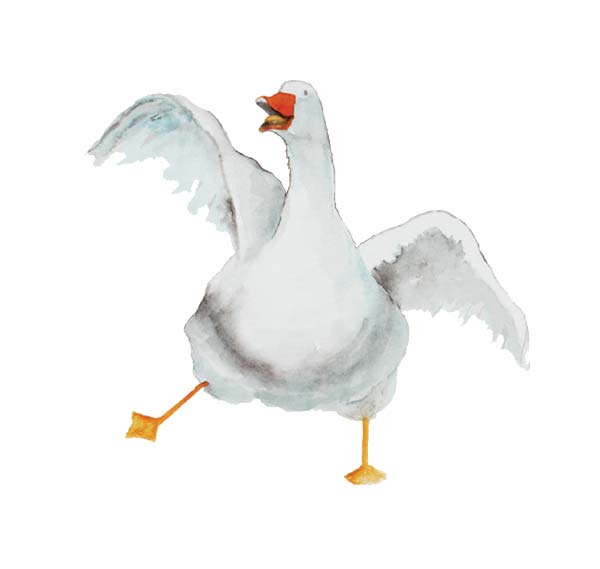 FRD-Goose600px