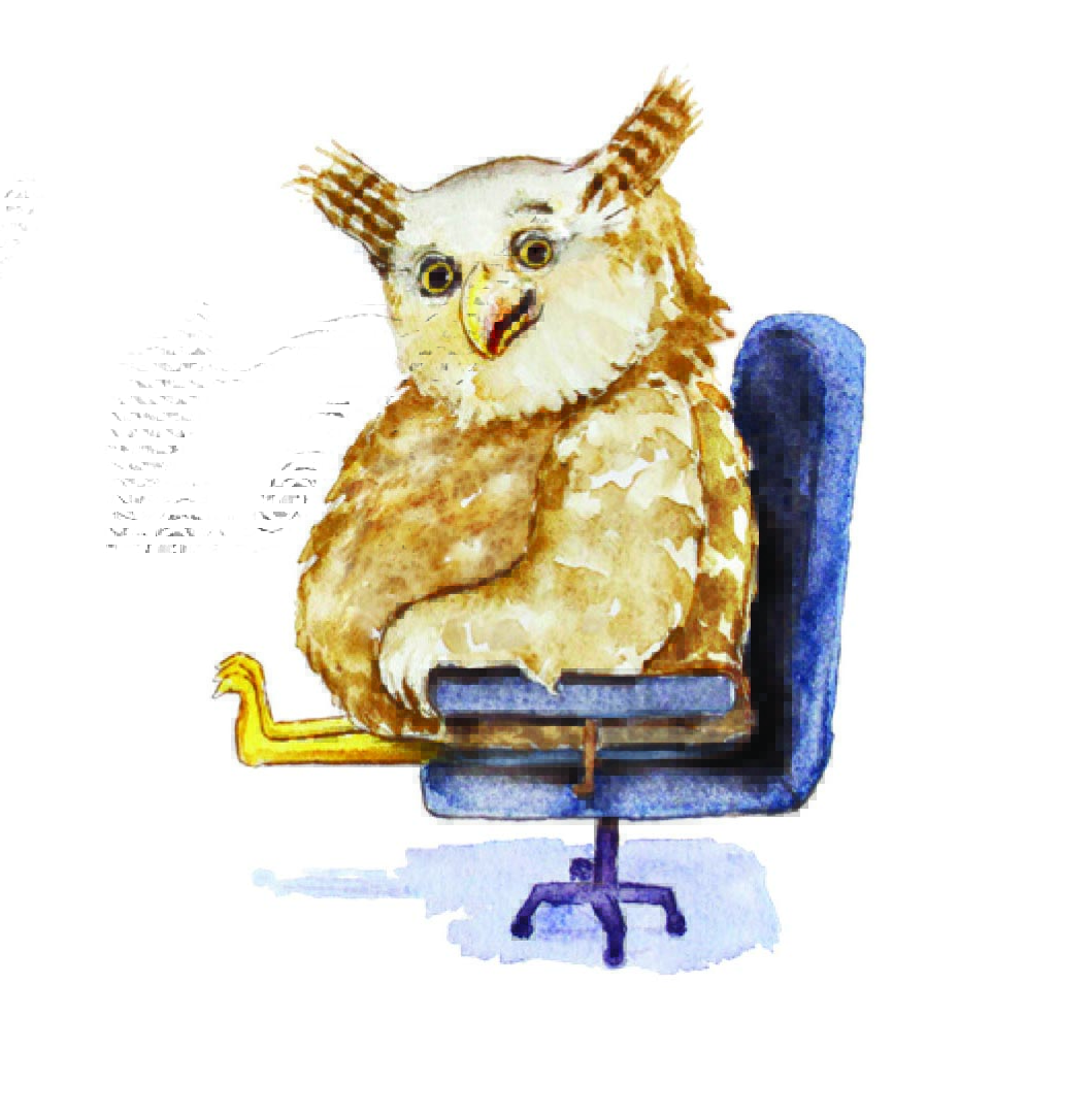 Owl